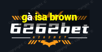 gà isa brown