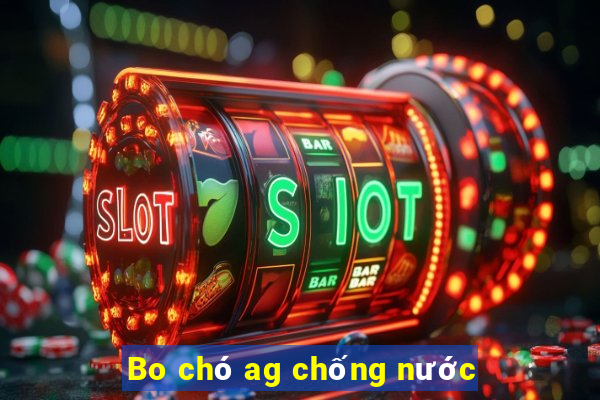 Bo chó ag chống nước