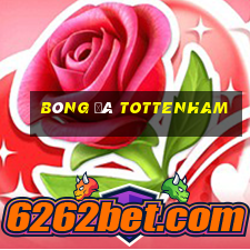 bóng đá tottenham