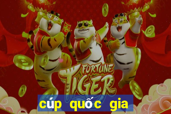 cúp quốc gia châu phi