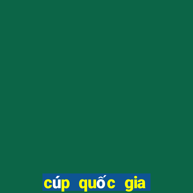 cúp quốc gia châu phi