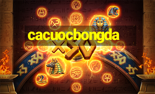 cacuocbongda