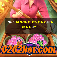 365 Mobile Client Đăng nhập