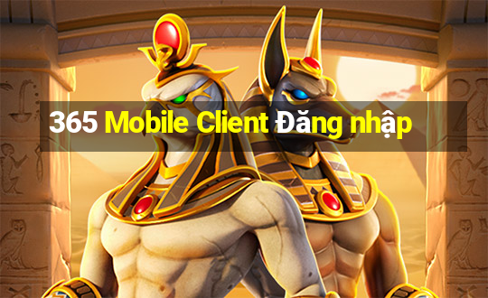 365 Mobile Client Đăng nhập