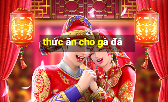 thức ăn cho gà đá