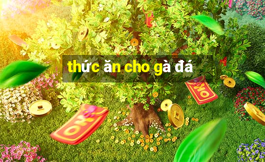 thức ăn cho gà đá