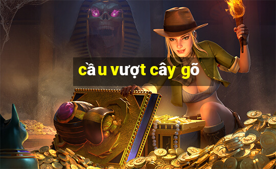 cầu vượt cây gõ