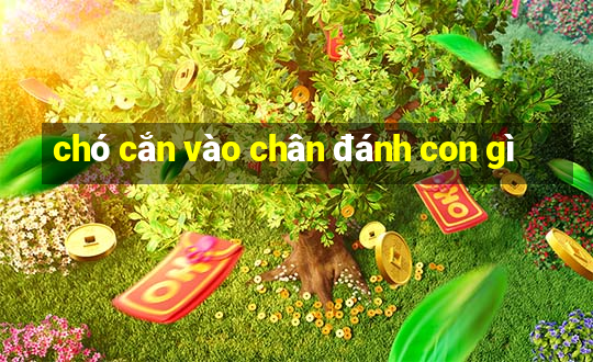 chó cắn vào chân đánh con gì