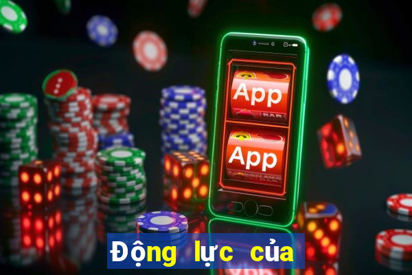 Động lực của đĩa Aussie