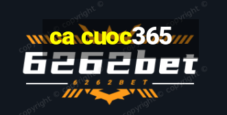 ca cuoc365