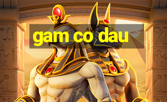 gam co dau