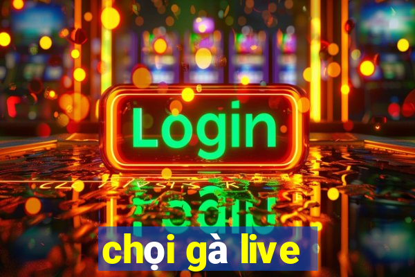 chọi gà live