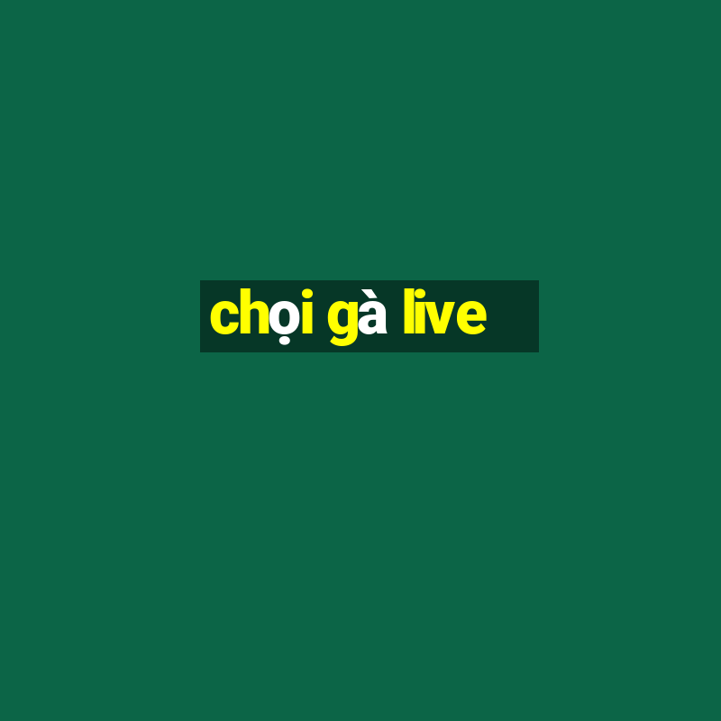 chọi gà live