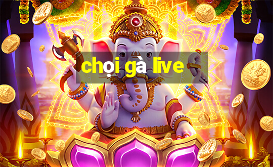 chọi gà live