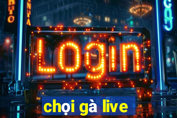 chọi gà live