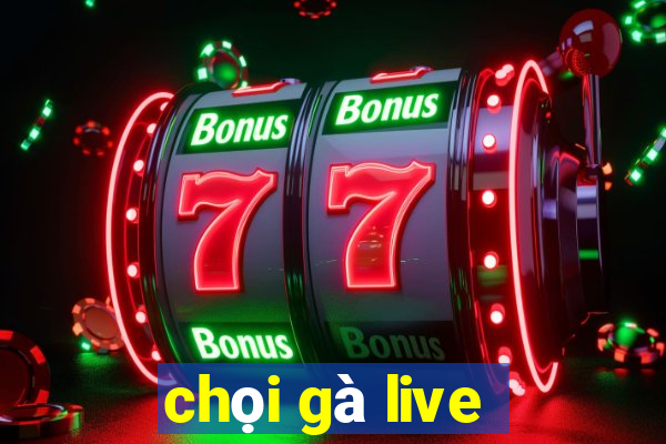 chọi gà live