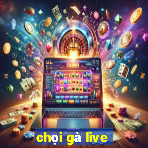 chọi gà live