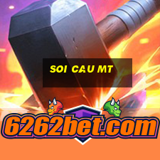 soi cau mt