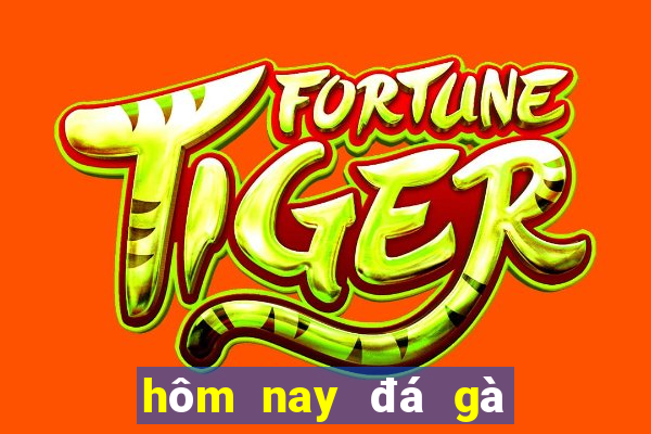 hôm nay đá gà màu gì