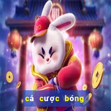 cá cược bóng đá 88