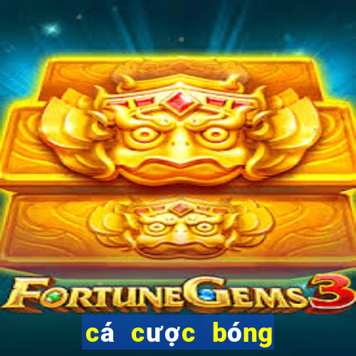 cá cược bóng đá 88