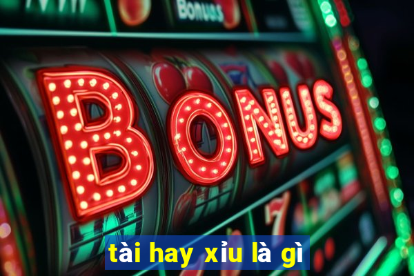 tài hay xỉu là gì