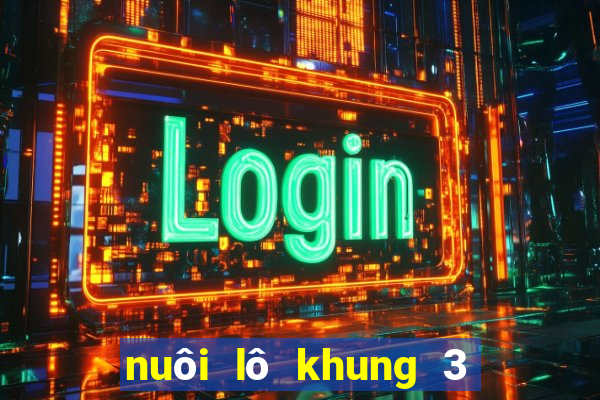 nuôi lô khung 3 ngày bất bại