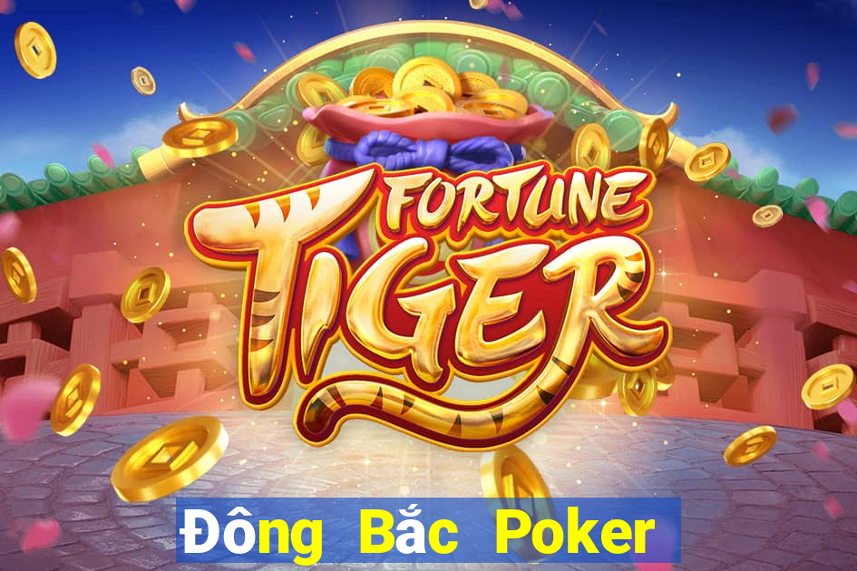 Đông Bắc Poker Bốn chục Một