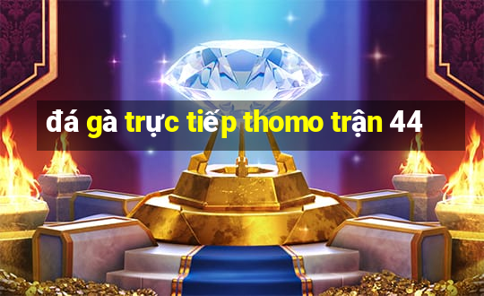 đá gà trực tiếp thomo trận 44