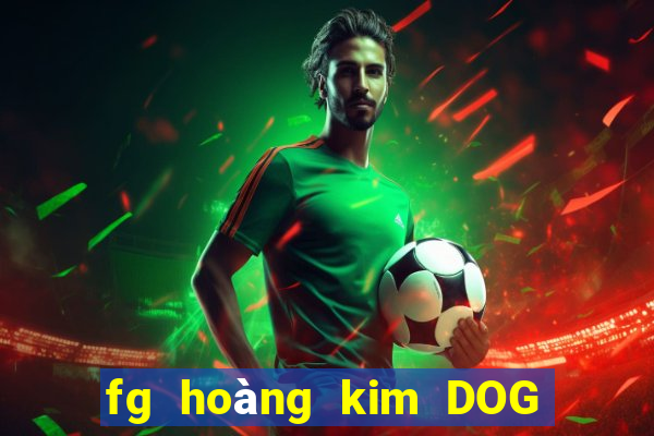 fg hoàng kim DOG Móng Cái