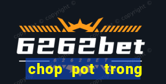 chop pot trong poker là gì