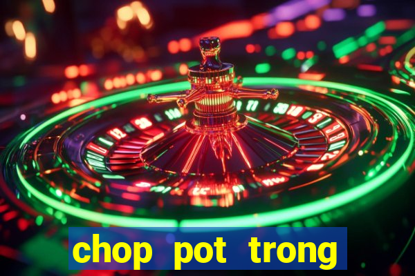 chop pot trong poker là gì