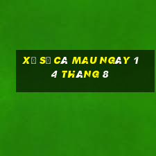 xổ số cà mau ngày 14 tháng 8