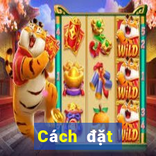 Cách đặt cược XSBTR ngày 7