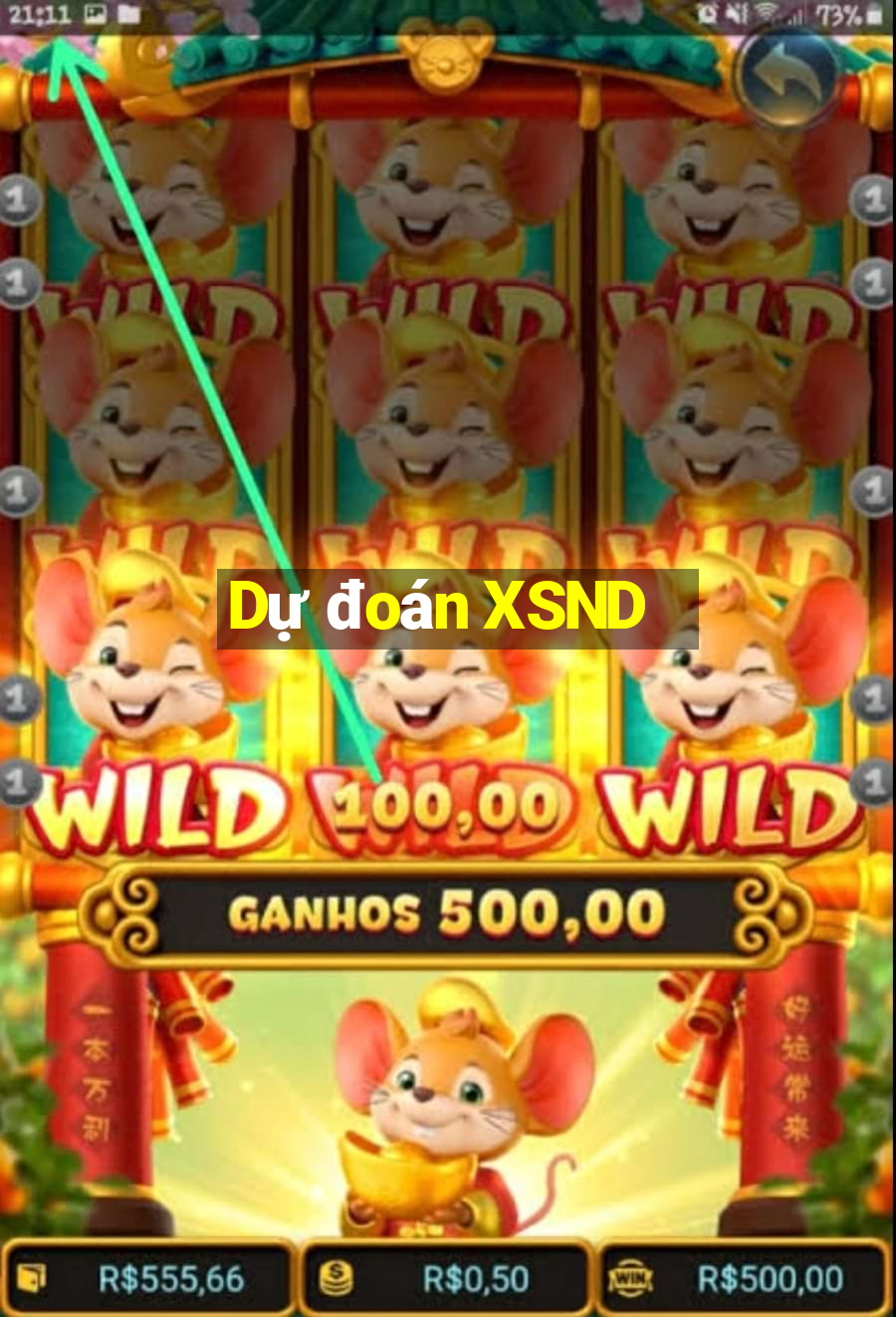 Dự đoán XSND