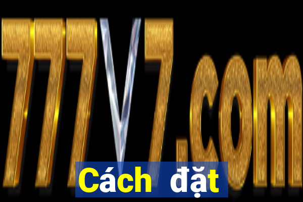 Cách đặt cược XSTV ngày 18