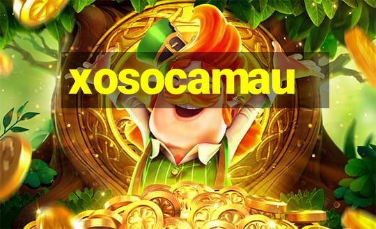 xosocamau