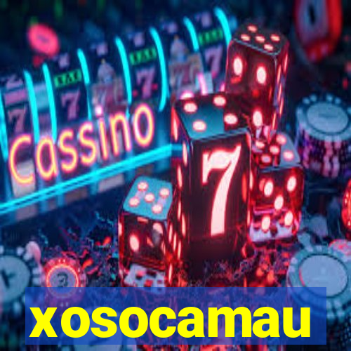 xosocamau