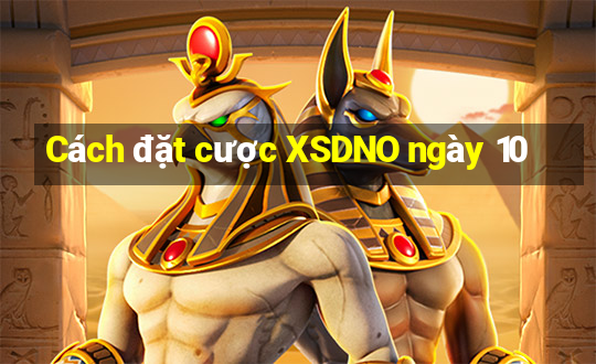 Cách đặt cược XSDNO ngày 10