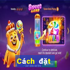 Cách đặt cược XSCT ngày 22