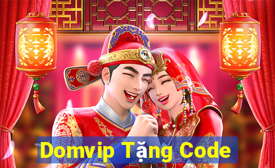 Domvip Tặng Code