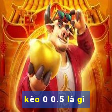 kèo 0 0.5 là gì