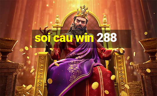 soi cau win 288