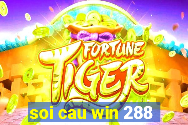 soi cau win 288