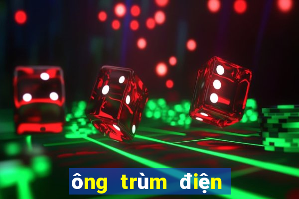 ông trùm điện tử sài gòn