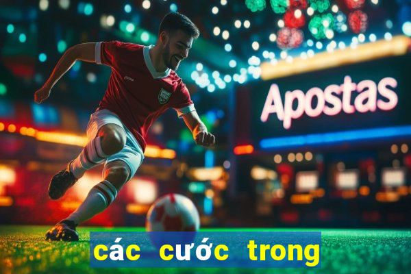 các cước trong chắn sân đình