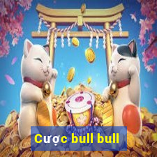 Cược bull bull