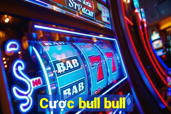 Cược bull bull