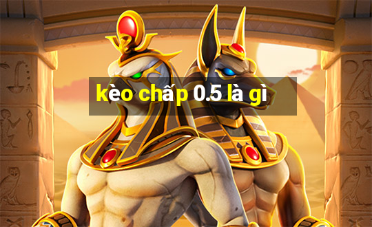 kèo chấp 0.5 là gì