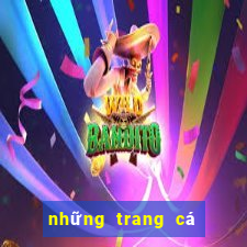 những trang cá độ uy tín